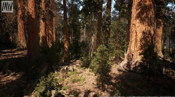 Unreal Engine 5.1 Nanite Redwood Forest Demo available for download