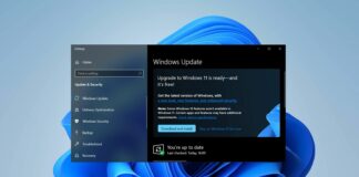 Windows 10 paid updates